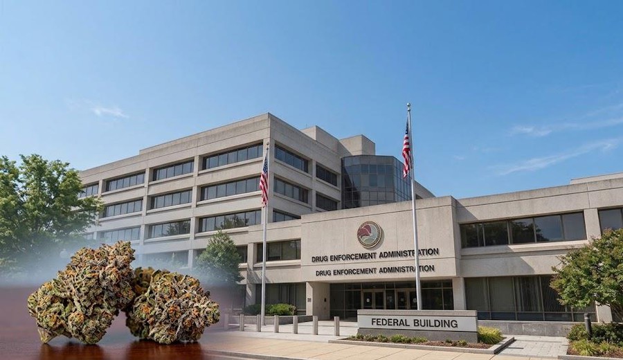 imagen de La DEA entra en la fase decisiva para reclasificar el cannabis en Estados Unidos