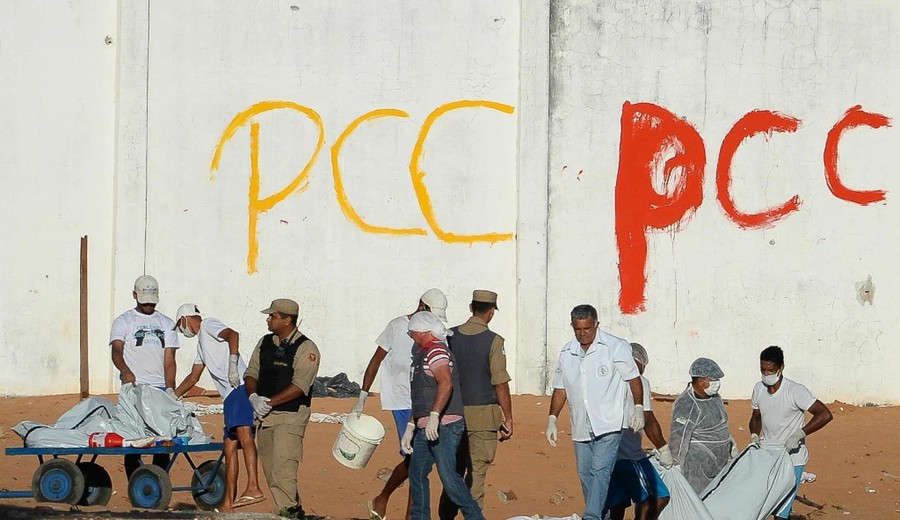 imagen de La "escuela criminal" del narcotráfico