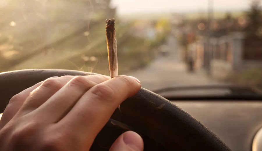 imagen de Cannabis al volante: un estudio detectó alteraciones hasta 5,5 horas después del consumo