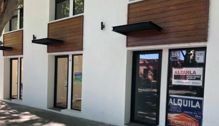 imagen de De la dependencia argentina a la diversificación global: el nuevo mapa del mercado inmobiliario en Colonia