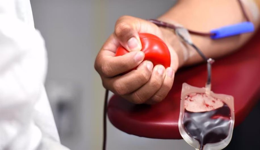 imagen de Histórico cambio: los Testigos de Jehová modificaron su postura respecto a las transfusiones de sangre