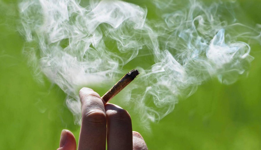 imagen de El mercado regulado de cannabis superó los 120.000 usuarios y aumentó la venta en farmacias