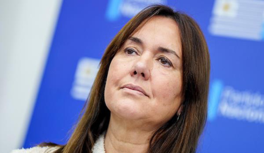 imagen de Integrante del Directorio blanco admite que PN no controló qué hacía Leiva pese a cobrar $52.000 como asesor