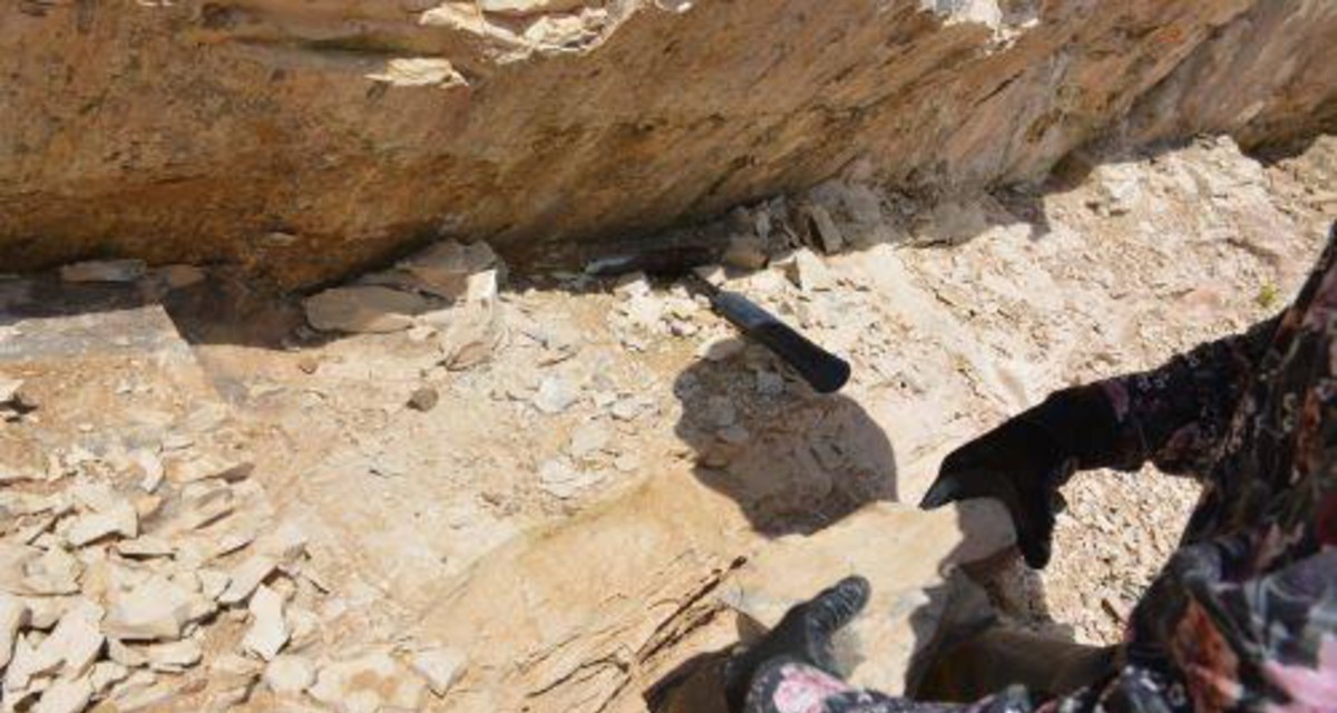 imagen de Cómo leemos la Tierra: principios geológicos para reconstruir la historia del planeta