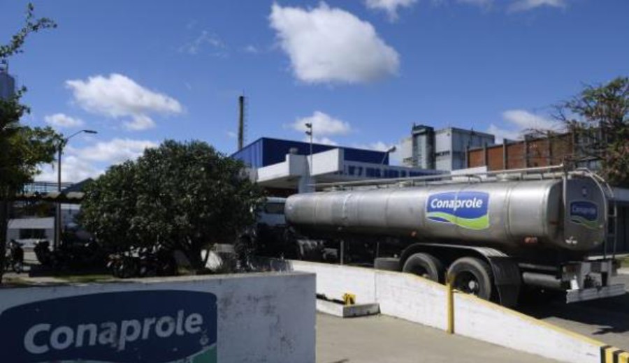 imagen de La industria láctea tendrá paros de dos horas por turno y movilizaciones que enlentecerán el tránsito