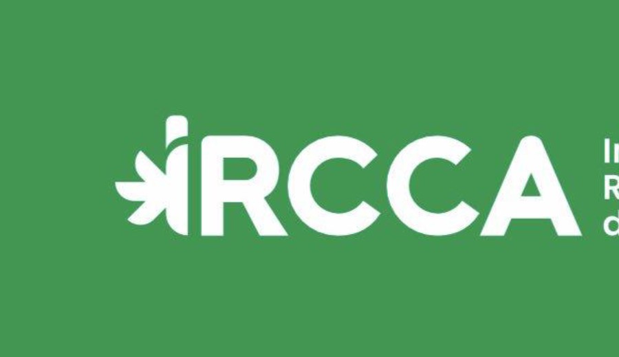 imagen de El IRCCA estudia habilitar el acceso de turistas al cannabis en Uruguay