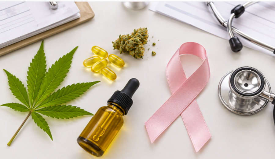 imagen de Cannabinoides y cáncer de mama: qué muestran los estudios y qué falta demostrar en pacientes