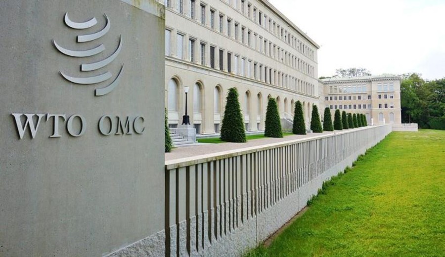 imagen de La OMC eleva de 1,9% a 3,9% la proyección de crecimiento de comercio mundial de mercancías