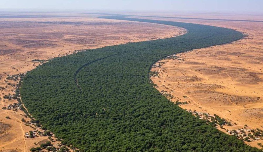imagen de África busca frenar el avance del desierto con una Gran Muralla Verde