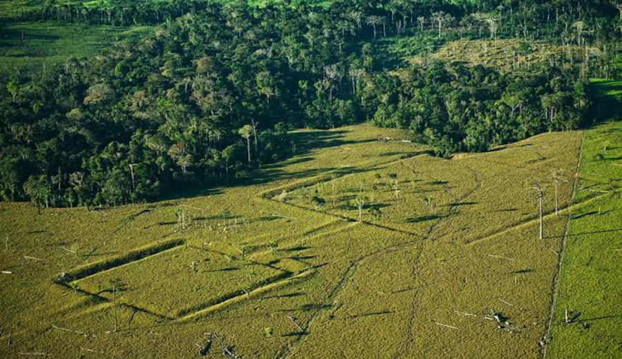 imagen de Geoglifos ocultos en la Amazonía revelan una sociedad que pudo reunir hasta tres millones de habitantes