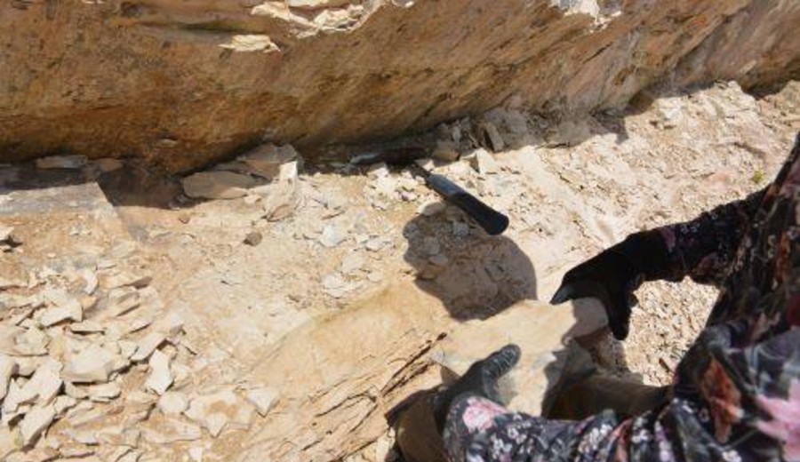 Imagen del contenido Cómo leemos la Tierra: principios geológicos para reconstruir la historia del planeta