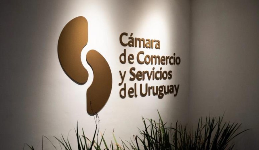 imagen de Empresarios cuestionan a Oddone: la ley no baja el costo de vida