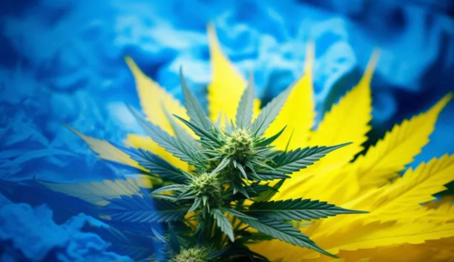 imagen de Ucrania: pacientes con cáncer acceden a cannabis medicinal
