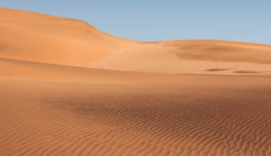 imagen de Científicos crean una “arena viva" que frena la pérdida de agua en el desierto
