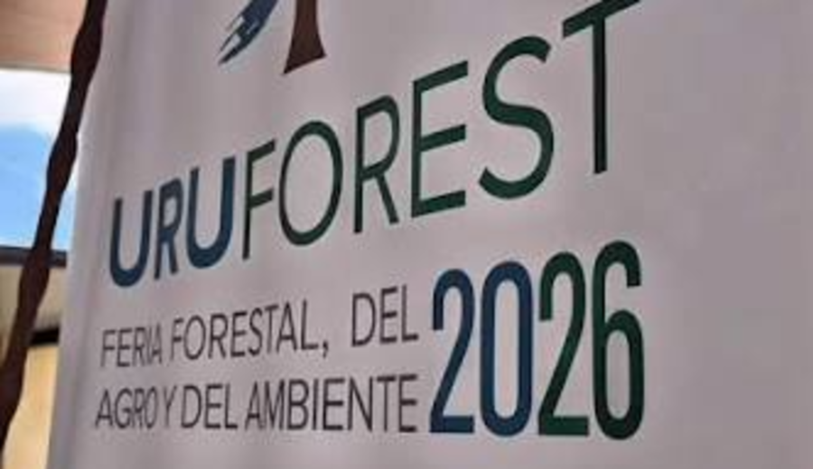 imagen de Juan Lacaze reúne durante cuatro días al sector forestal