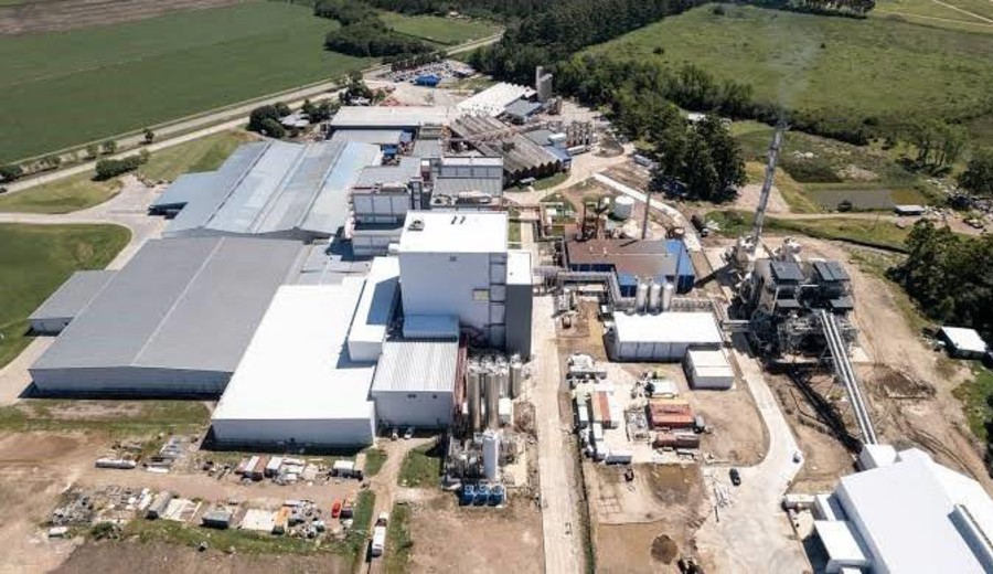 imagen de CONAPROLE: la mejor empresa láctea del Mercosur