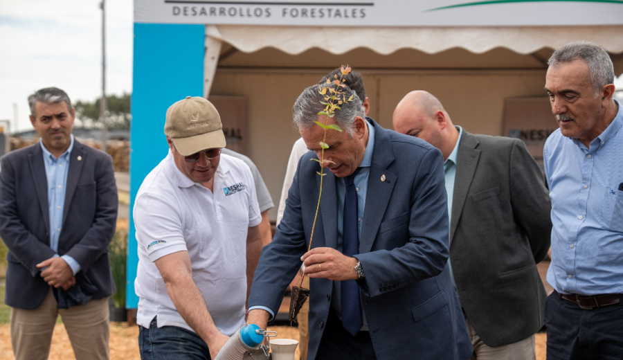 imagen de Orsi respalda ampliar la forestación: "Hay necesidad de hacerlo"