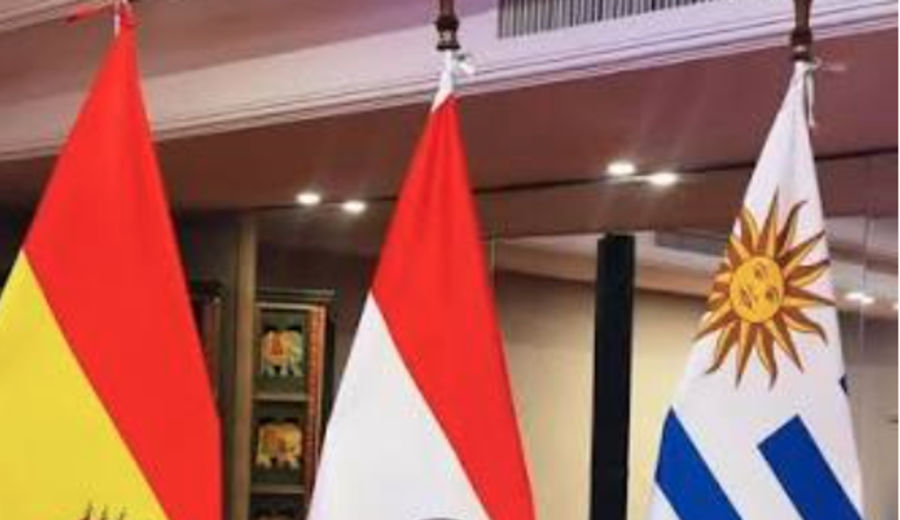 imagen de Uruguay, Paraguay y Bolivia buscan mayor peso en la Hidrovía