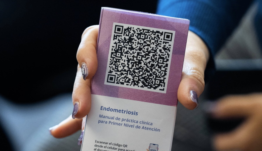 imagen de El MSP presentó una guía para detectar antes la endometriosis y mejorar la atención
